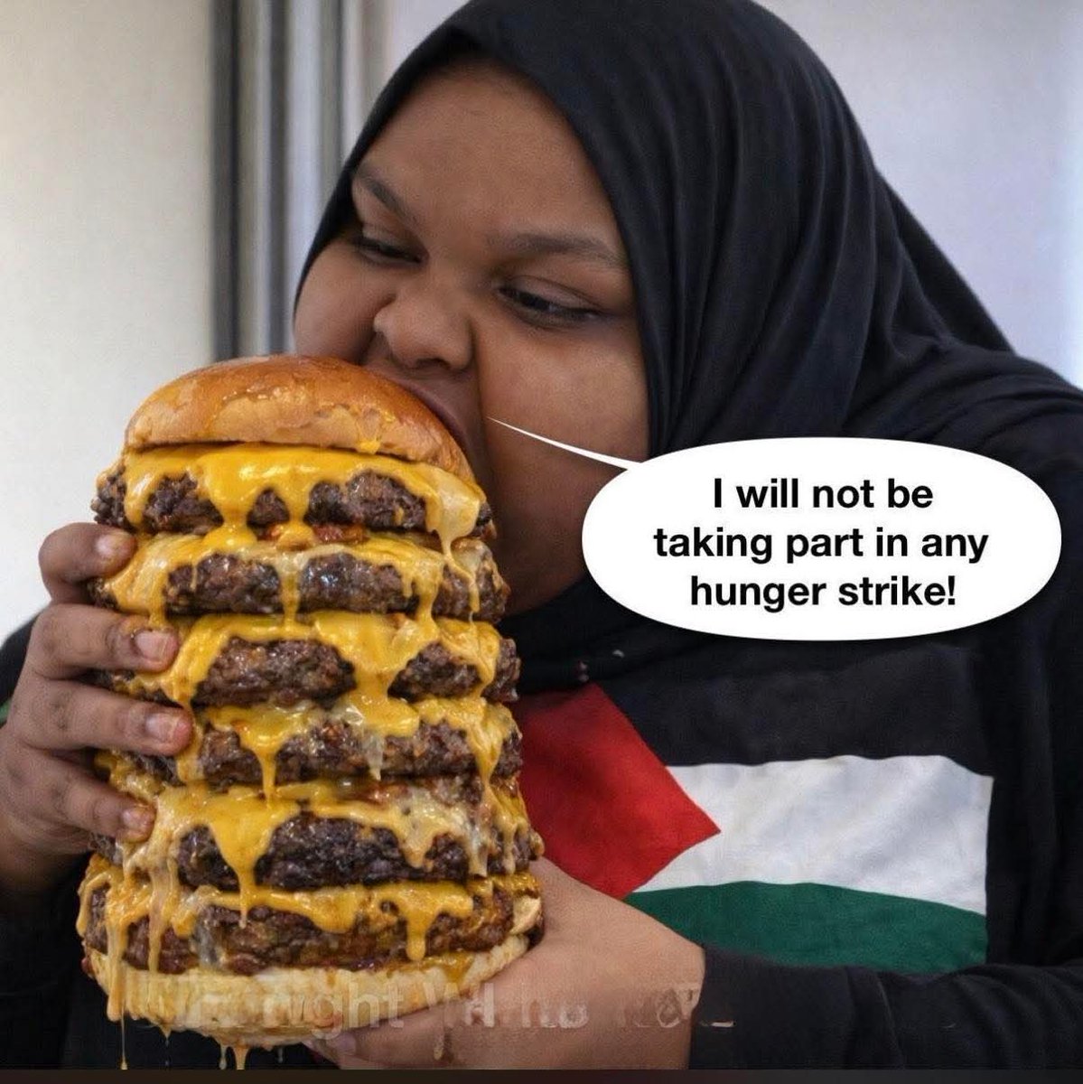 MinnaMkinen6's tweet image. Walesin terveyslähettiläs on erittäin kiitollinen länsimaalaiselle elintarviketeollisuudelle, joka valmistaa kunnollisia halalburgereita.

#halal
#herkku
#oikeauskoinen