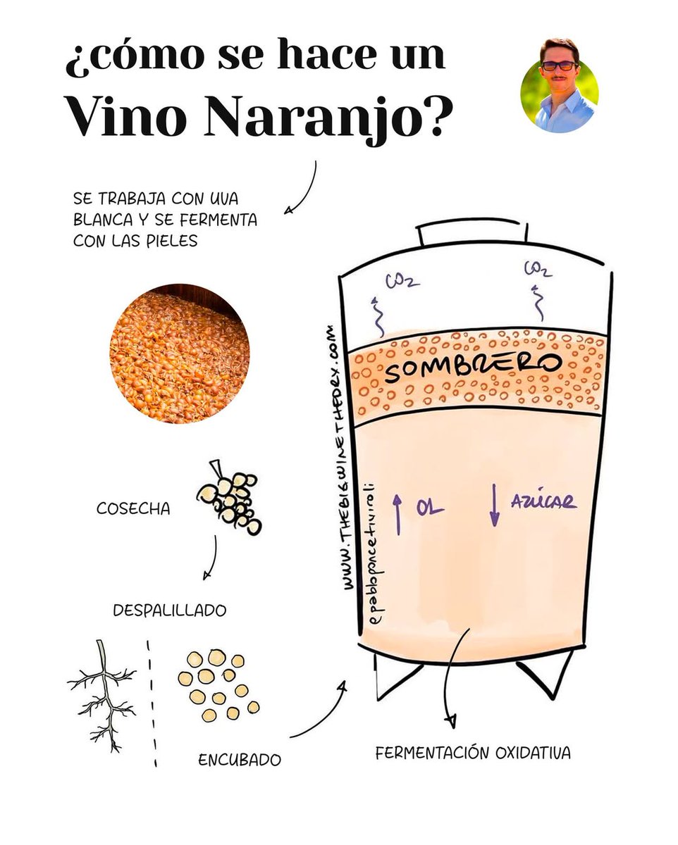 poncetivi's tweet photo. El vino Naranjo tiene muchísima historia.

Su elaboración data de hace miles de años y consiste básicamente en fermentar la uva blanca con sus pieles.

Además, a través de trabajos como remontajes abiertos, se busca incorporar oxígeno para lograr el color 

#Desburrate https://t.co/fkBxlZBO9w