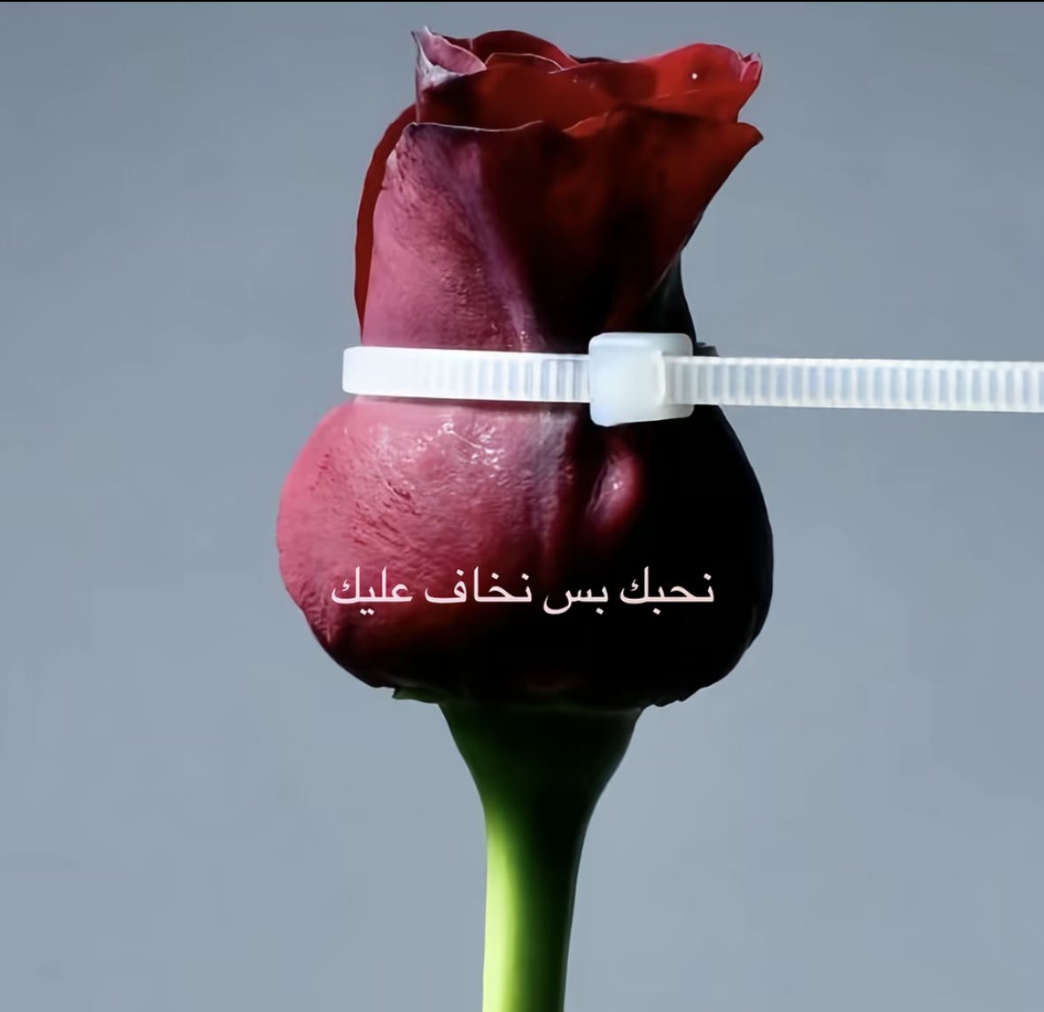 iibill_'s tweet photo. أنت لا تحميهم، أنت تخنق أحلامهم باسم الخوف، وتكسر حريتهم باسم الحب. https://t.co/MYPTa3s6c2