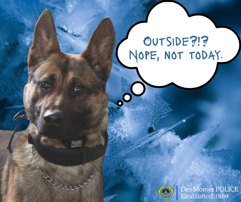 Des Moines Police tweet media