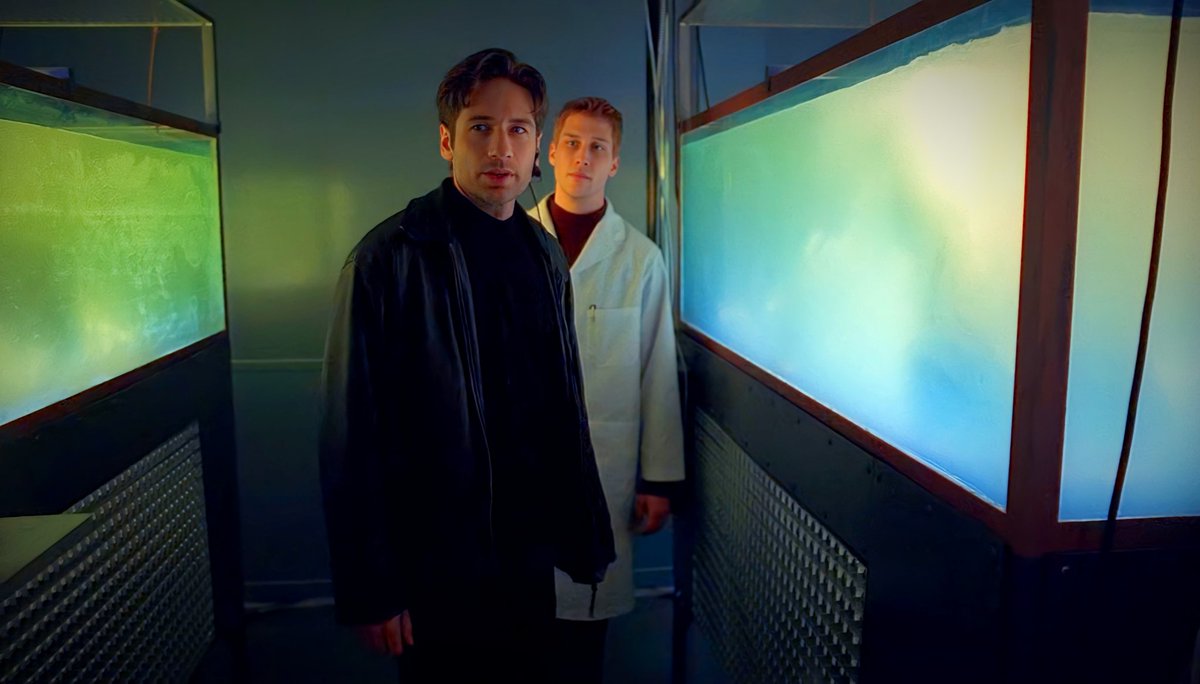 XFilesAesthetic's tweet photo. The X Files lighting was amazing ✨✨ https://t.co/QguYdjPLQS