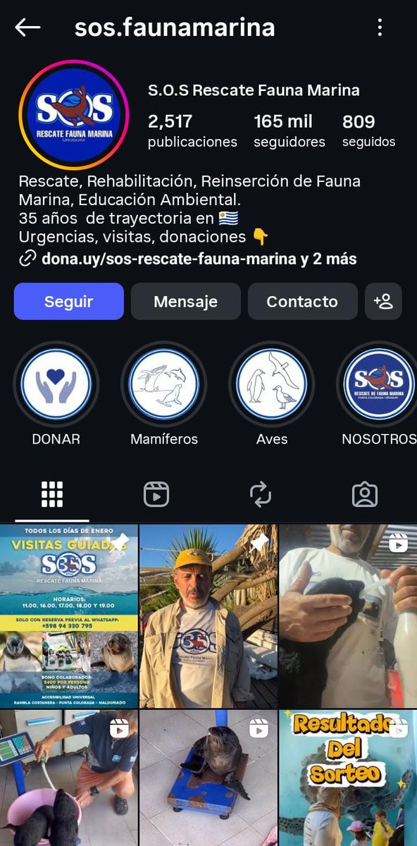 Alius Maximos tweet media