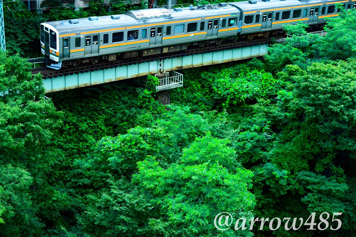 arrow485's tweet image. #魅力のある緑を見せてください見た人全員強制