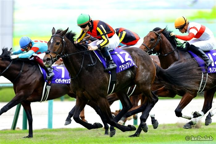 keibalab's tweet image. 【大歓声を受けるため、生を受けた】
本日1月24日は、G1を計6勝した名牝グランアレグリアの誕生日！すでに3頭を出産。母としても活躍馬を送り出せるか注目です。
#グランアレグリア #誕生日
keibalab.jp/db/horse/20161…