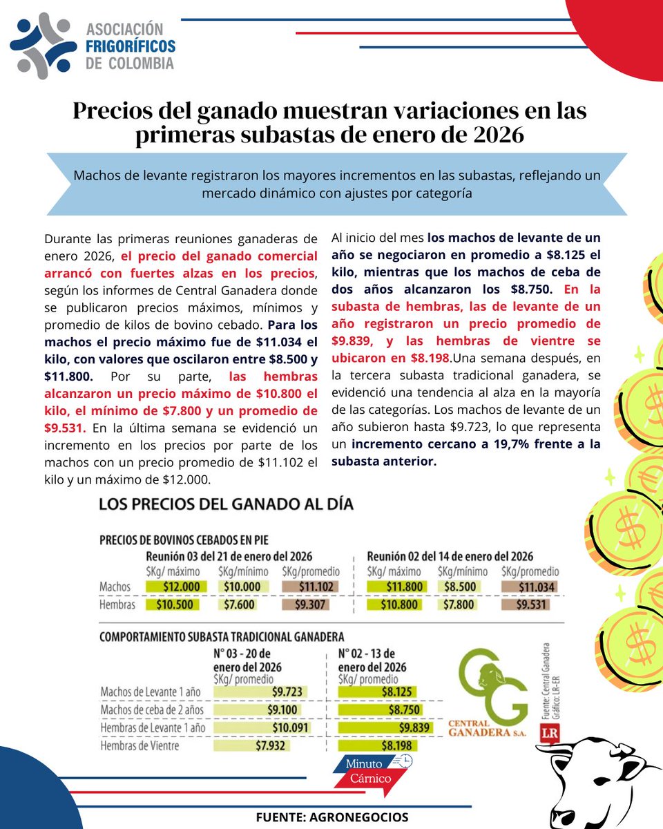 Asofrigorificos's tweet image. Los precios del ganado en lo que lleva el 2026 muestran variaciones interesantes, entérese de más detalles en el minuto cárnico.