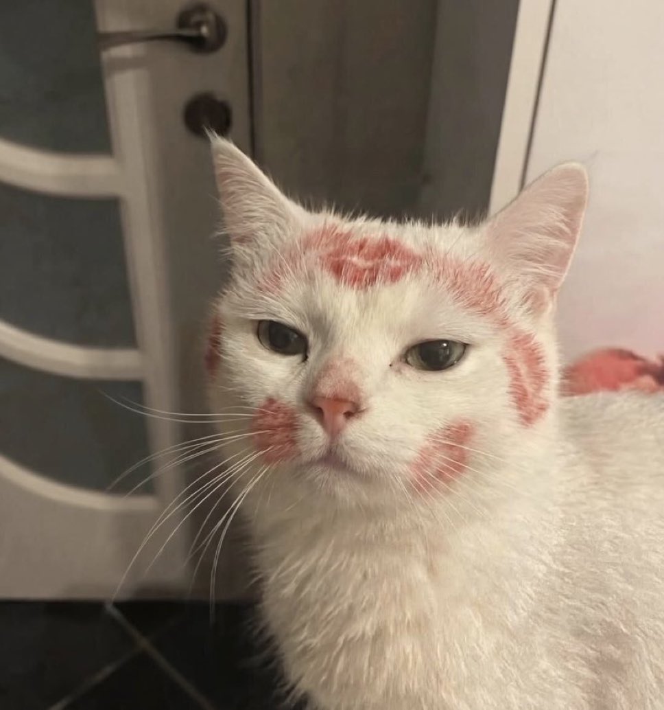 gitbelle's tweet image. Cuteeee