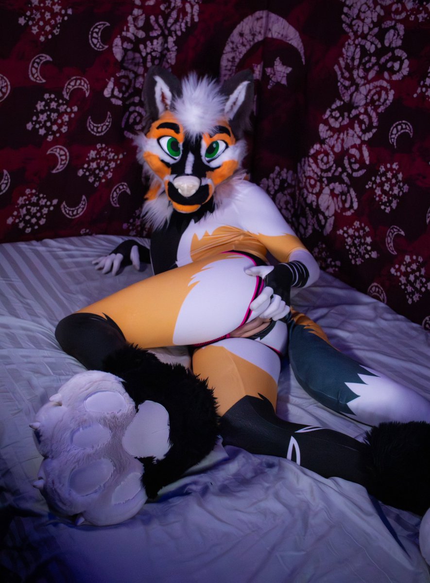 foxhuffs's tweet photo. Typical fox, posted up, eager for a breeding 🥴🥴

📸 @HashHyena https://t.co/Qhc5yXjpIm