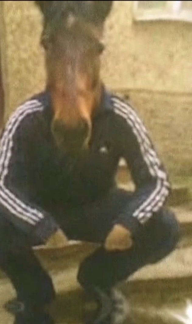 37⚡️ tweet media