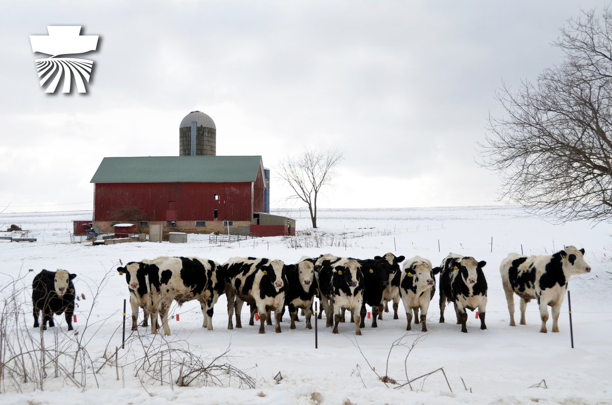Despite freezing temperatures and falling snow, a Pennsylvania farmer’s work never stops. ❄️🚜 

From feeding livestock and thawing water troughs to hauling grain and milking cows, the work continues day in and day out. 

Thank you to our farmers for your dedication and