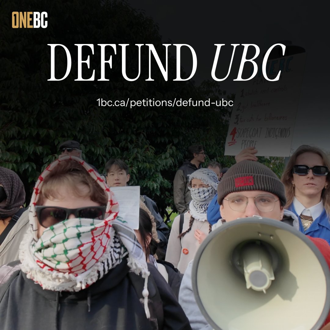 Dallas Brodie tweet media