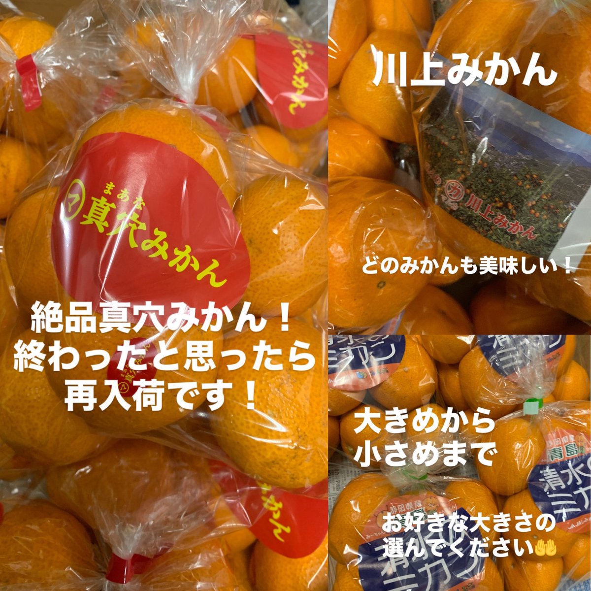 絶品！真穴みかん🍊 終わったと思いや、再入荷です！ どのみかんも