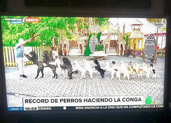 Perdon no pude ver el informe, pasa que estoy viendo: