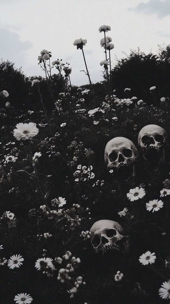 Black. (@blackdreamvibes) on Twitter photo 