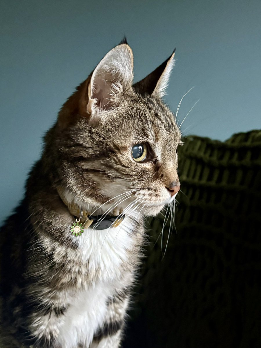 Ally 🏇🏻 tweet media