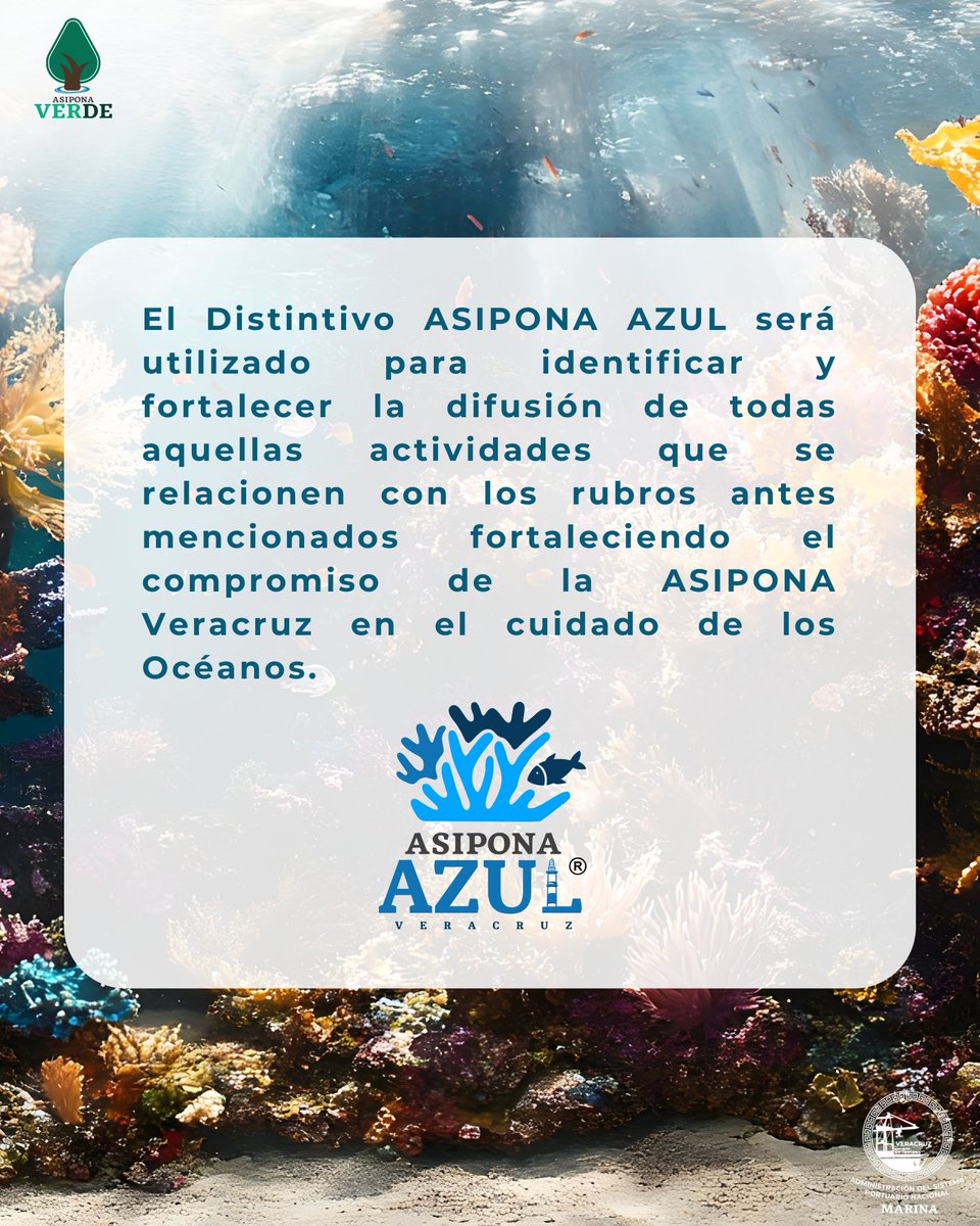 PUERTO DE VERACRUZ tweet media