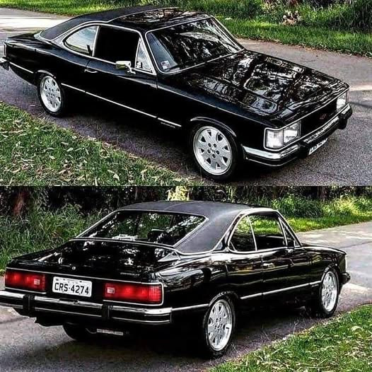 0C0RV0's tweet photo. que coisa linda https://t.co/Y0YX4DgCam