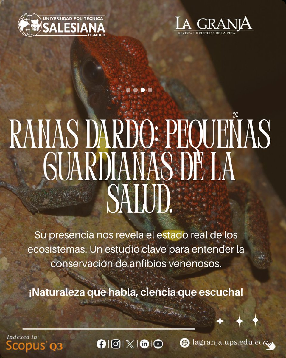 "Naturaleza que habla, ciencia que escucha"
Descubre en #LaGranja Vol. 41 cómo las ranas dardo funcionan como pequeñas guardianas de la salud de nuestros ecosistemas.
Contenido indexado en #ScopusQ3 disponible en acceso abierto: 👇 lagranja.ups.edu.ec
lagranja.ups.edu.ec/granja/issue/v…