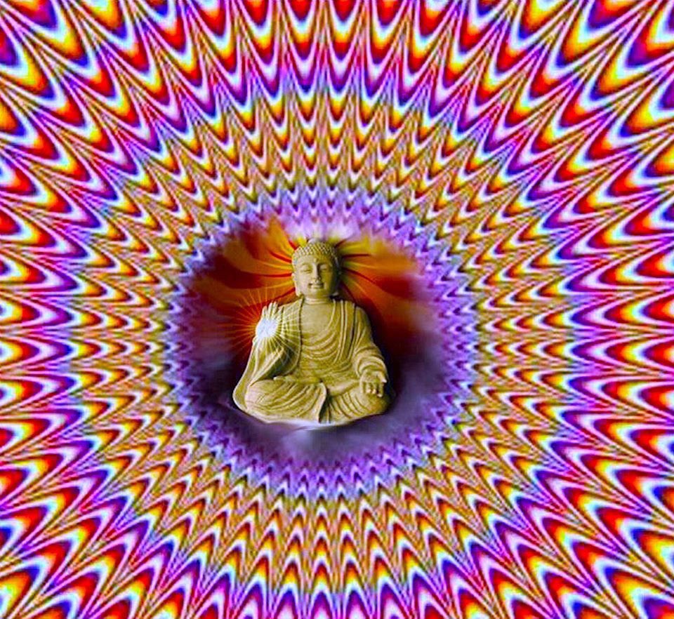 thiahgom's tweet image. eu sou saudável,
abençoado, próspero
e irradiante