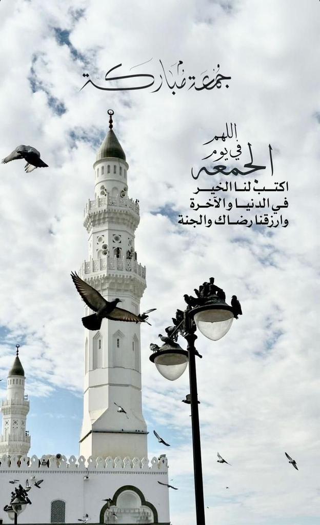 د. شايان ابوزناده tweet media