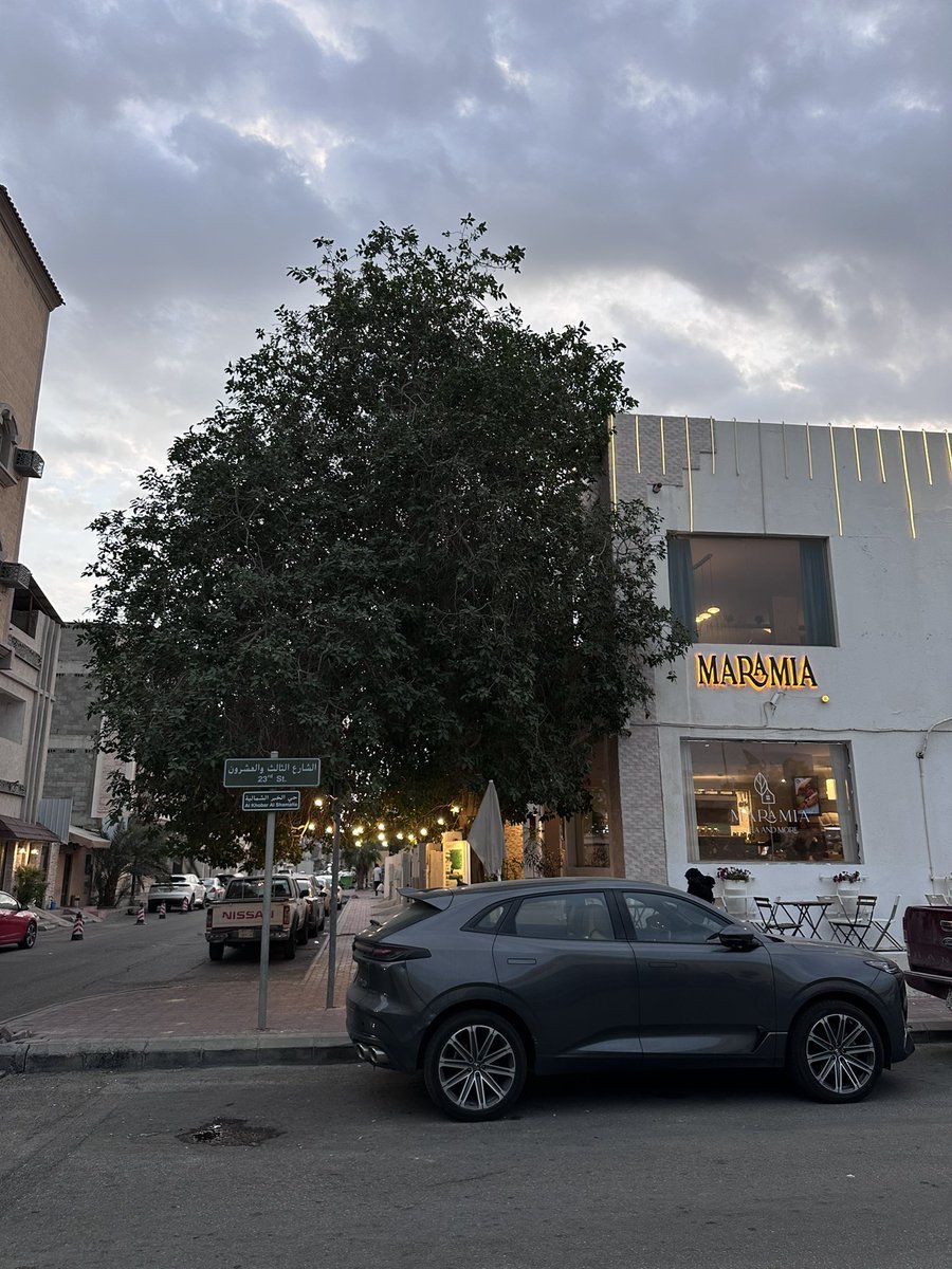 Aseel Alghamdi tweet media