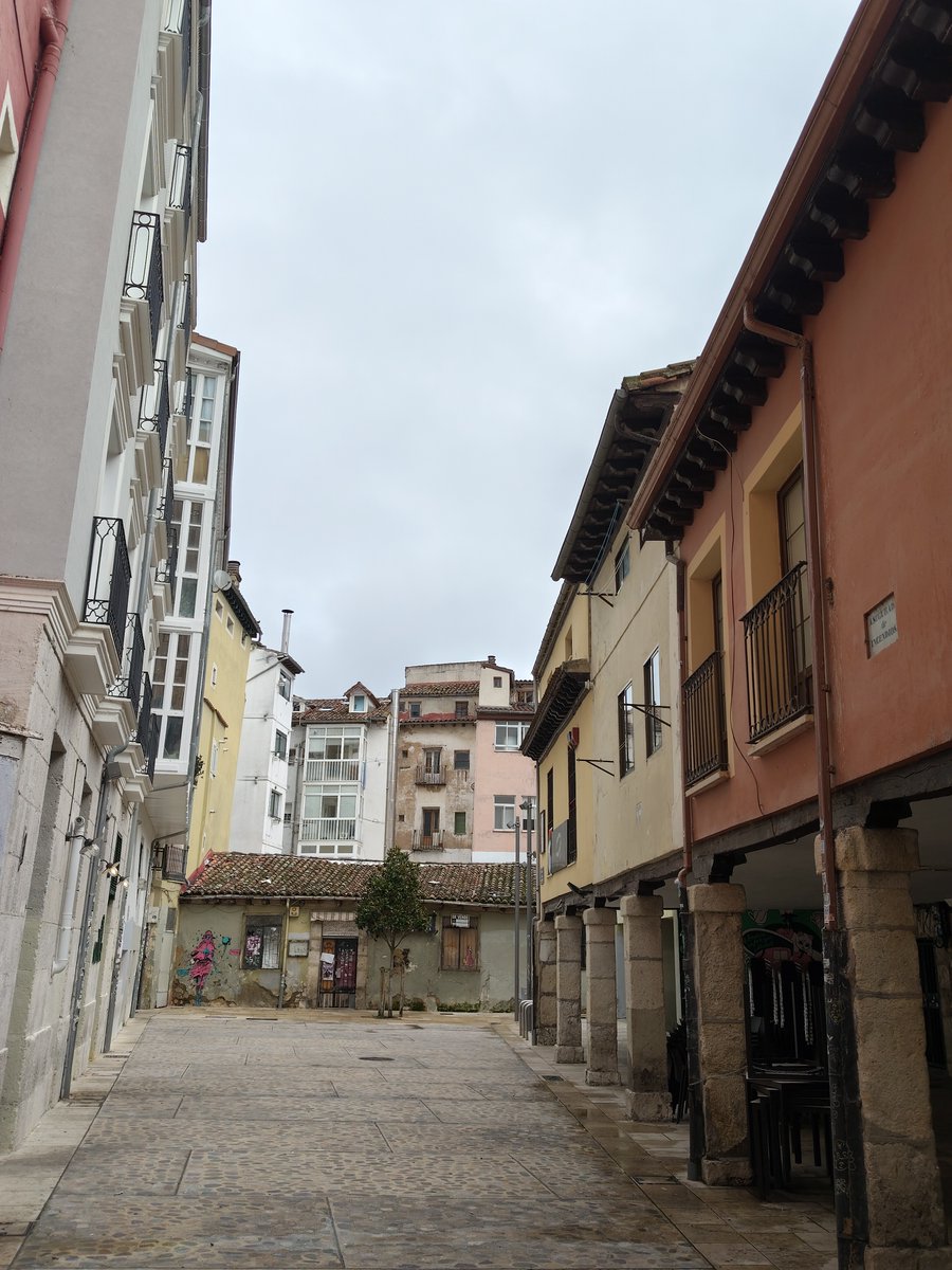 Viento que silba
en las esquinas,
tu vida evocas
mientras caminas,
recuerdos vienen
que son espinas.

#LYF15 #CajónRelatos