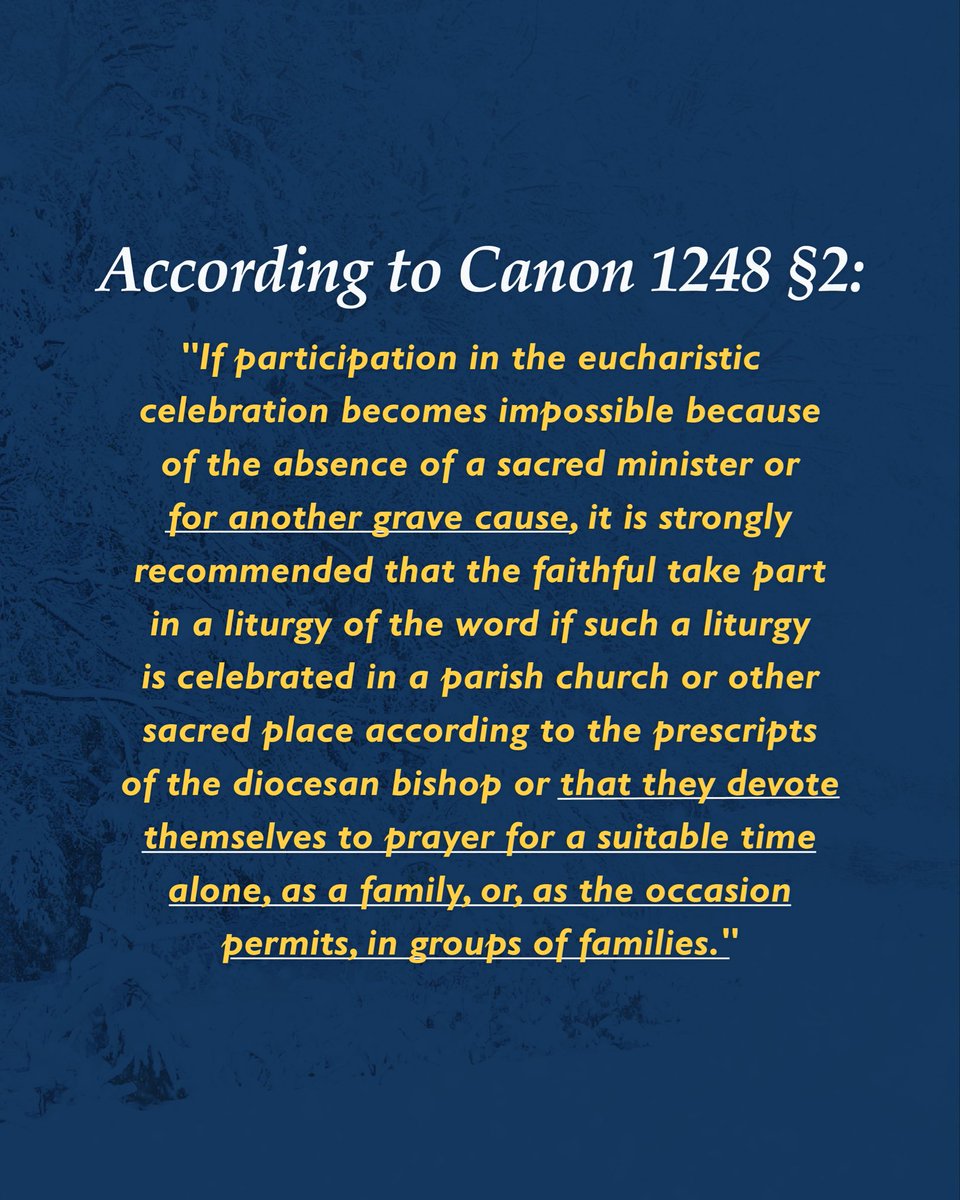 Archdiocese of St. Louis tweet media