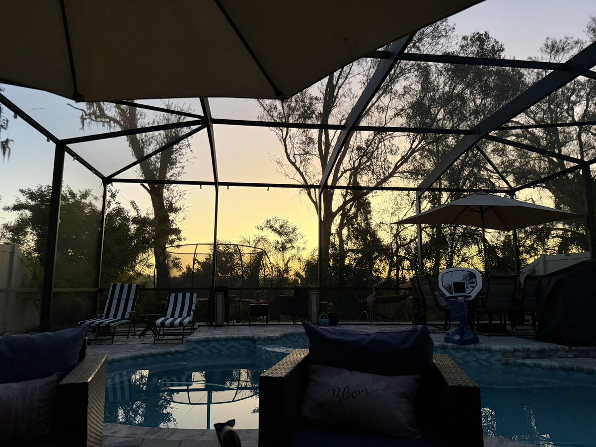 Kellys'Subervi tweet media