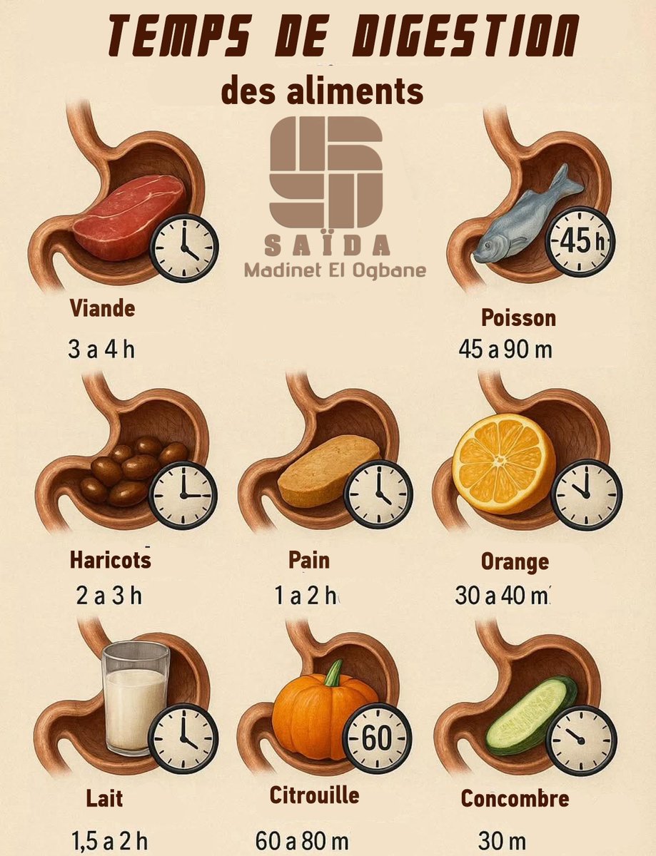 hammamikhalfall's tweet photo. Temps de digestion des  aliments https://t.co/RvVHkxmHdf