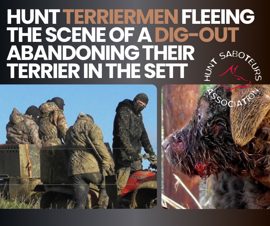 "𝗧𝗲𝗿𝗿𝗶𝗲𝗿 𝘄𝗼𝗿𝗸 𝗺𝘂𝘀𝘁 𝗻𝗼𝘁 𝗳𝗼𝗿𝗺 𝗽𝗮𝗿𝘁 𝗼𝗳, 𝗼𝗿 𝗯𝗲 𝗮𝘀𝘀𝗼𝗰𝗶𝗮𝘁𝗲𝗱 𝘄𝗶𝘁𝗵, 𝗮 𝗱𝗮𝘆'𝘀 𝘁𝗿𝗮𝗶𝗹 𝗵𝘂𝗻𝘁" 𝗕𝗿𝗶𝘁𝗶𝘀𝗵 𝗛𝗼𝘂𝗻𝗱 𝗦𝗽𝗼𝗿𝘁𝘀 𝗔𝘀𝘀𝗼𝗰𝗶𝗮𝘁𝗶𝗼𝗻, 𝟮𝟬𝟮𝟱

On Tuesday 20th Jan 2026, Northants Hunt Saboteurs caught