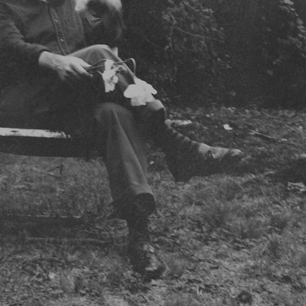 Foundations tweet media