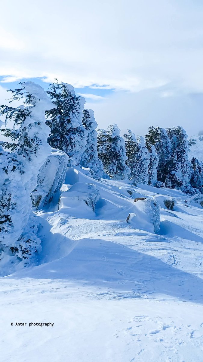أجواء خيالية اليوم من شليا دائرة بوحمامة ولاية خنشلة الاوراس 😍