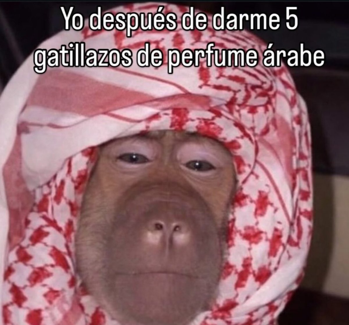 JavierSantanaMx's tweet photo. @mbaafraude Yo inmediatamente: https://t.co/9nhYIGjO04