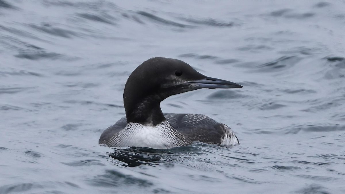 Mark fullerton tweet media