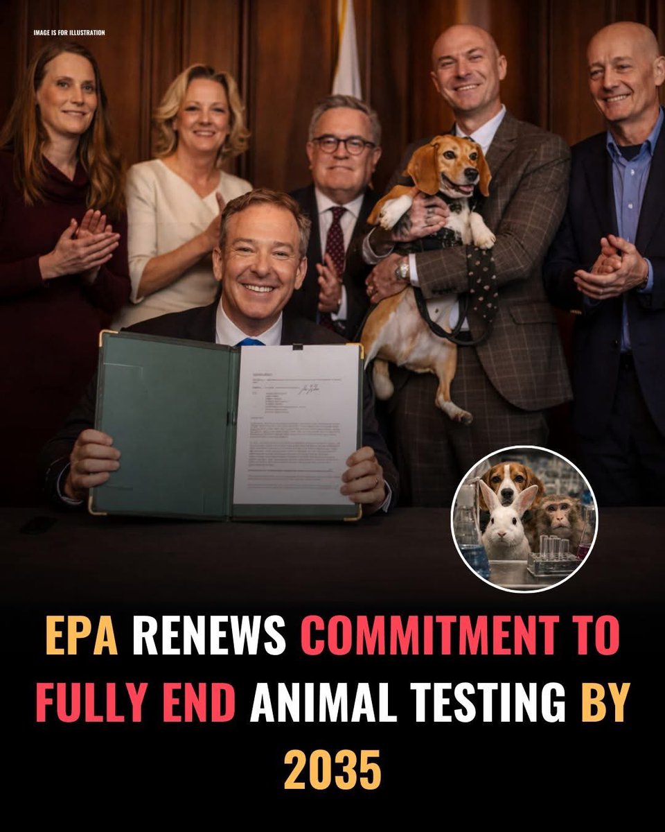 domdyer70's tweet image. They never chose to be part of experiments… but their suffering is finally coming to an end.

The U.S. Environmental Protection Agency (EPA) has renewed its commitment to end animal testing by 2035, marking a powerful step toward compassion-driven science.

This renewed pledge…