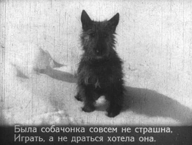 pustotatvoya's tweet image. 