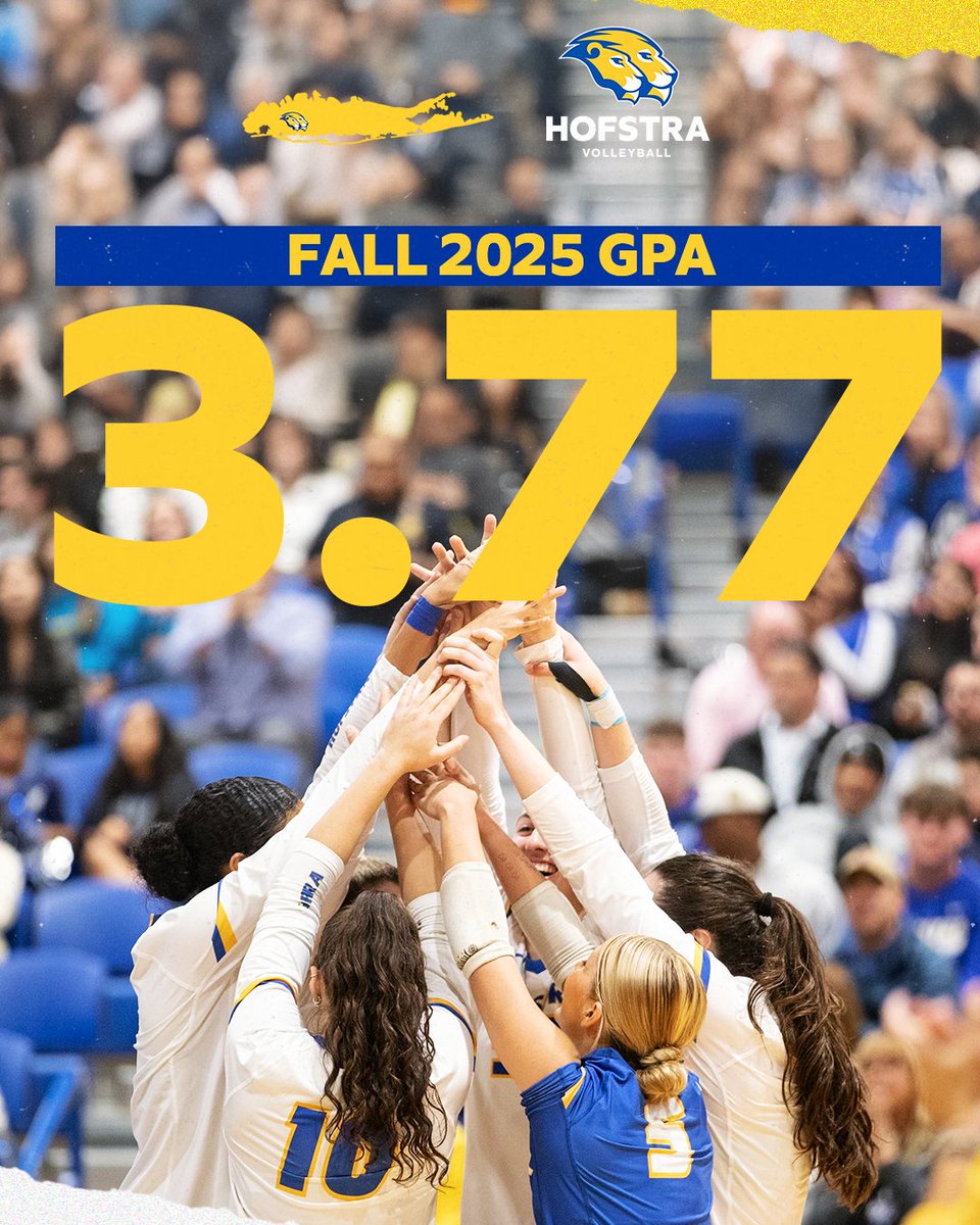 Hofstra Volleyball tweet media