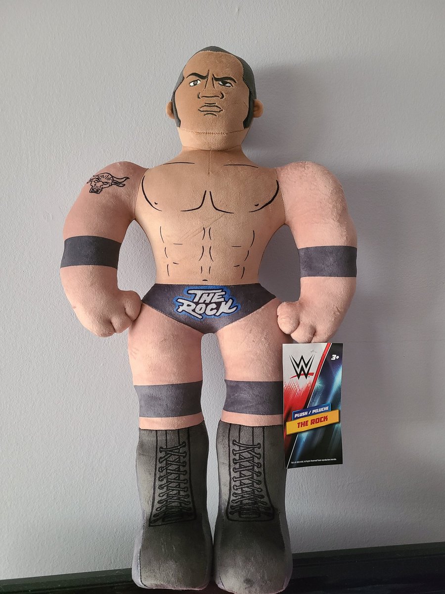 The Rock Collector tweet media