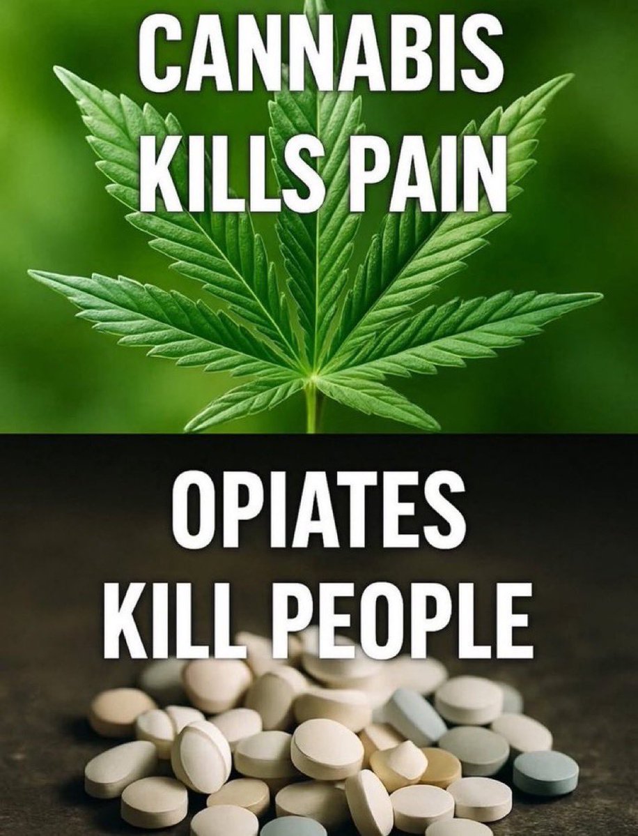 Vet 420 (@weedvet) on Twitter photo 