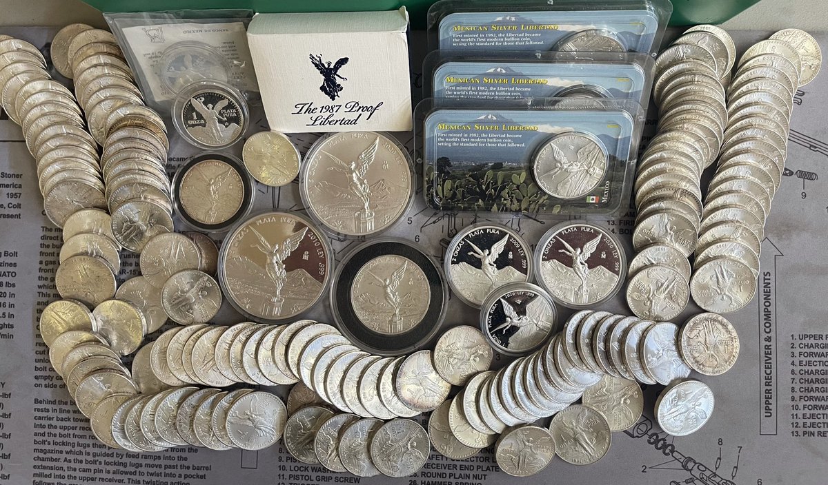 Libertads are soon gonna lose bullion status and demand their own security detail. 🤩
#silver