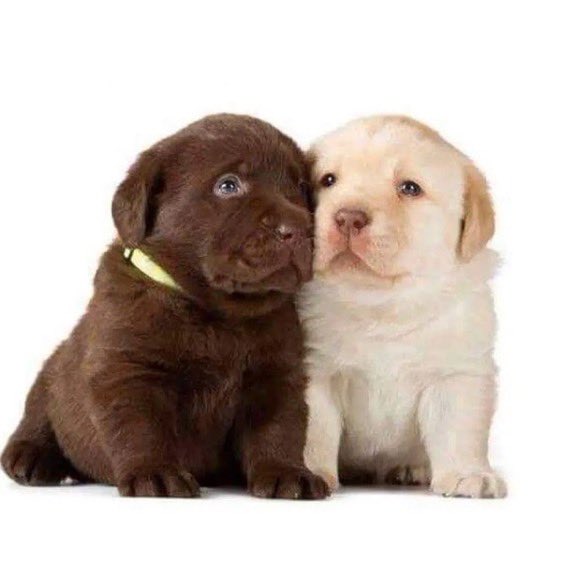 tagyourwho's tweet image. 