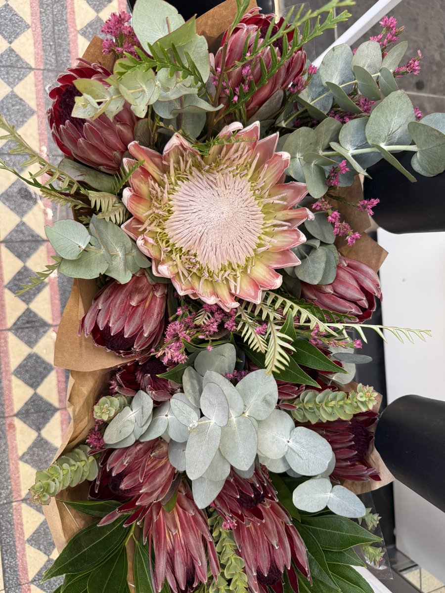 LindaJSterken's tweet photo. Proteas ❤️ https://t.co/w2zP8p7WaD