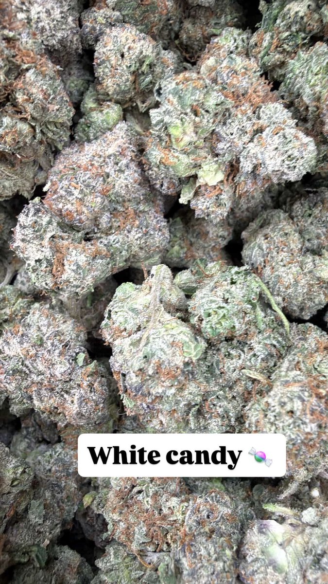 motioncityk's tweet image. Candy Man Back In Town Hit Me For Ya Lungs Need All My Texans Rush Me 🍭🔥 Hit My Number / Hit My Instagram @kyvii2x 
945-393-3058 #dallasza #dallasfreaks #needit #servin #gas #plug #texas #nearme #pleasantgrove #garland #oakliff #south #dallas