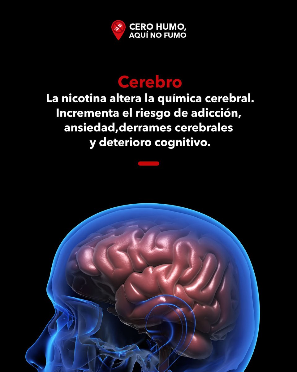 🧠 No es solo un cigarro… son varios órganos pagando el precio.

💬 Cuéntanos en los comentarios:
¿Sabías que fumar dañaba tantos órganos a la vez?

📞 ¿Necesitas ayuda para dejarlo? Llama a la Línea de la Vida: 800 911 2000

#Líneadelavida #MéxicoSinHumo  #MéxicoLibreDeHumo