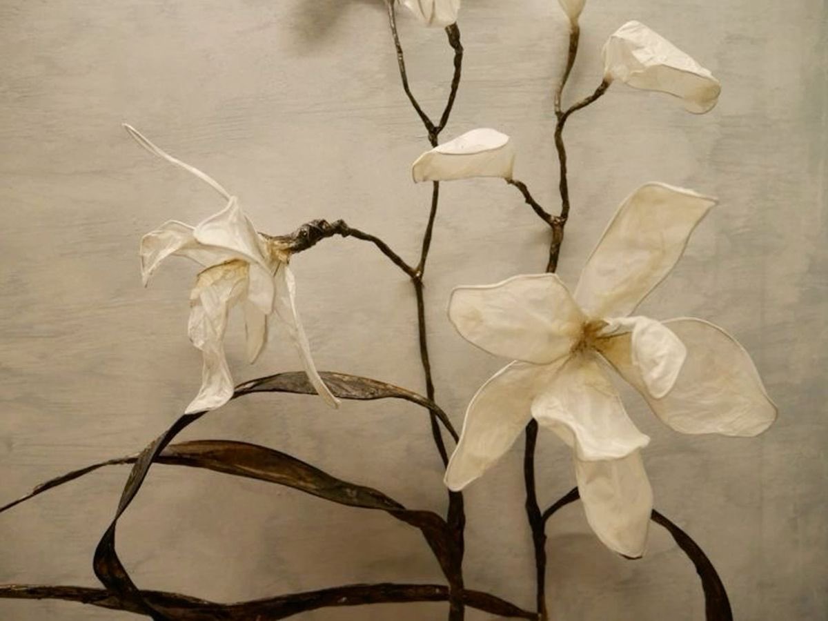 𝜗𝜚 (@eicsfilms) on Twitter photo 