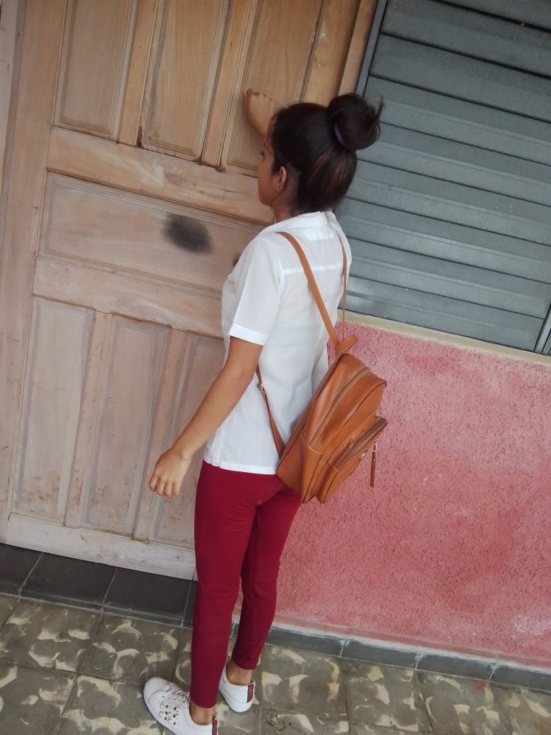 Pesquisa de arbovirosis realizadas por los estudiantes de la enseñanza técnica profesional de Enfermería y Vigilancia y lucha antivectorial