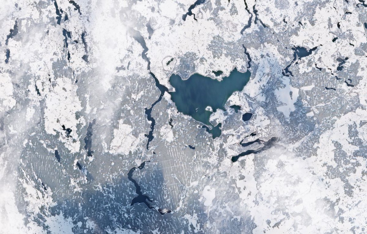 CREODIAS tweet media