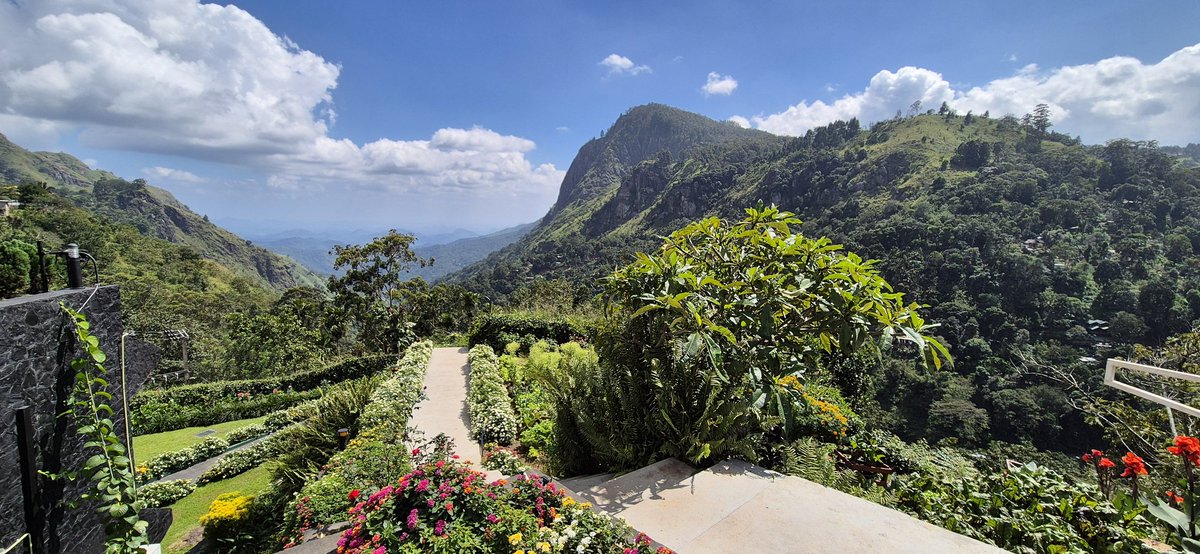 Steve Finch Travel ✈️🚢🚆🌎🇬🇧 tweet media