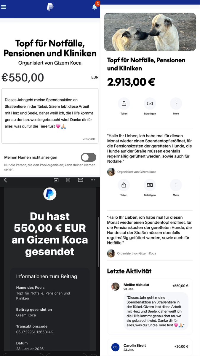 cheynooo's tweet image. Ihr Lieben, die Spendenaktion ist beendet und wir haben unglaubliche 
550 € gesammelt! 💗 Das ist meine bisher erfolgreichste Aktion. Danke an jede einzelne Person für eure Unterstützung 🙏🏼 Ohne euch wäre das nicht möglich gewesen. 
Ferdi ist stolz auf uns 💗