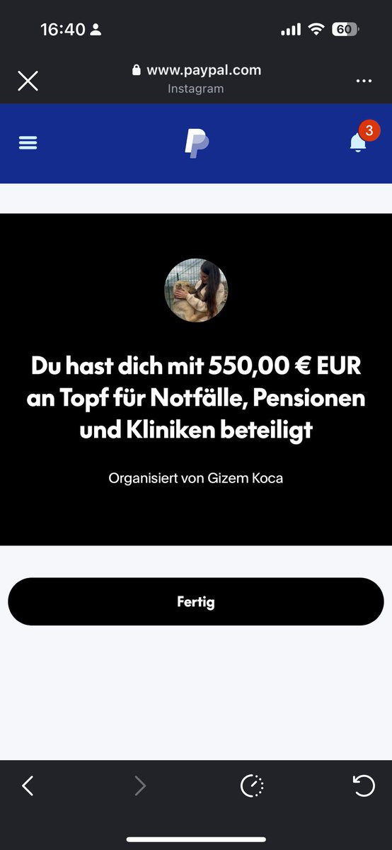 cheynooo's tweet image. Ihr Lieben, die Spendenaktion ist beendet und wir haben unglaubliche 
550 € gesammelt! 💗 Das ist meine bisher erfolgreichste Aktion. Danke an jede einzelne Person für eure Unterstützung 🙏🏼 Ohne euch wäre das nicht möglich gewesen. 
Ferdi ist stolz auf uns 💗