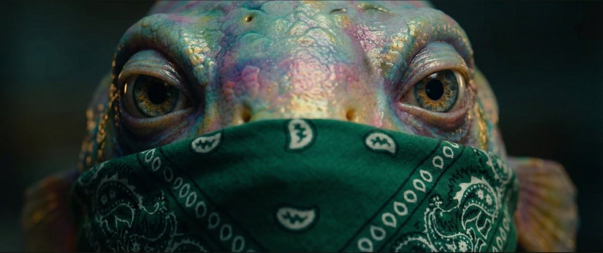 CallenderCrypto's tweet image. whilst I sleep crime the $fish for me fishies